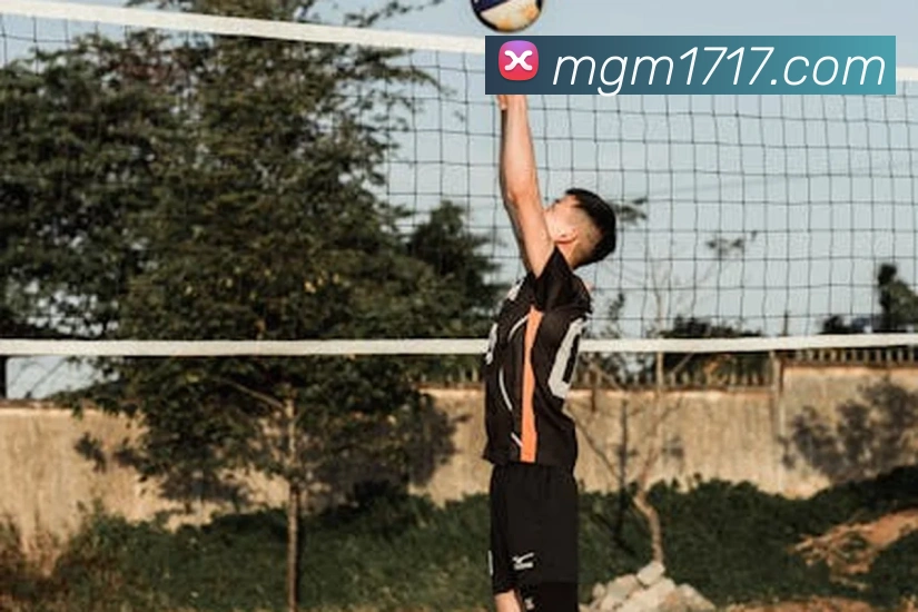 美高梅mgm全站App 美高梅mgm全站App